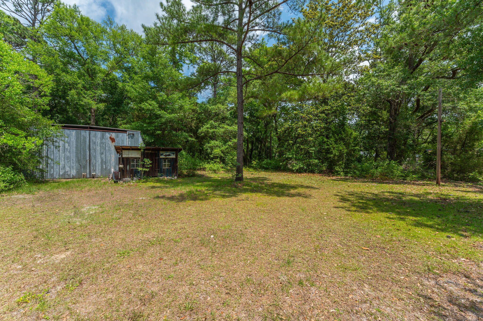 19494 Highway 331 Freeport, FL 32439 - Photo 23 of 36 a view of a backyard with large trees and wooden fence