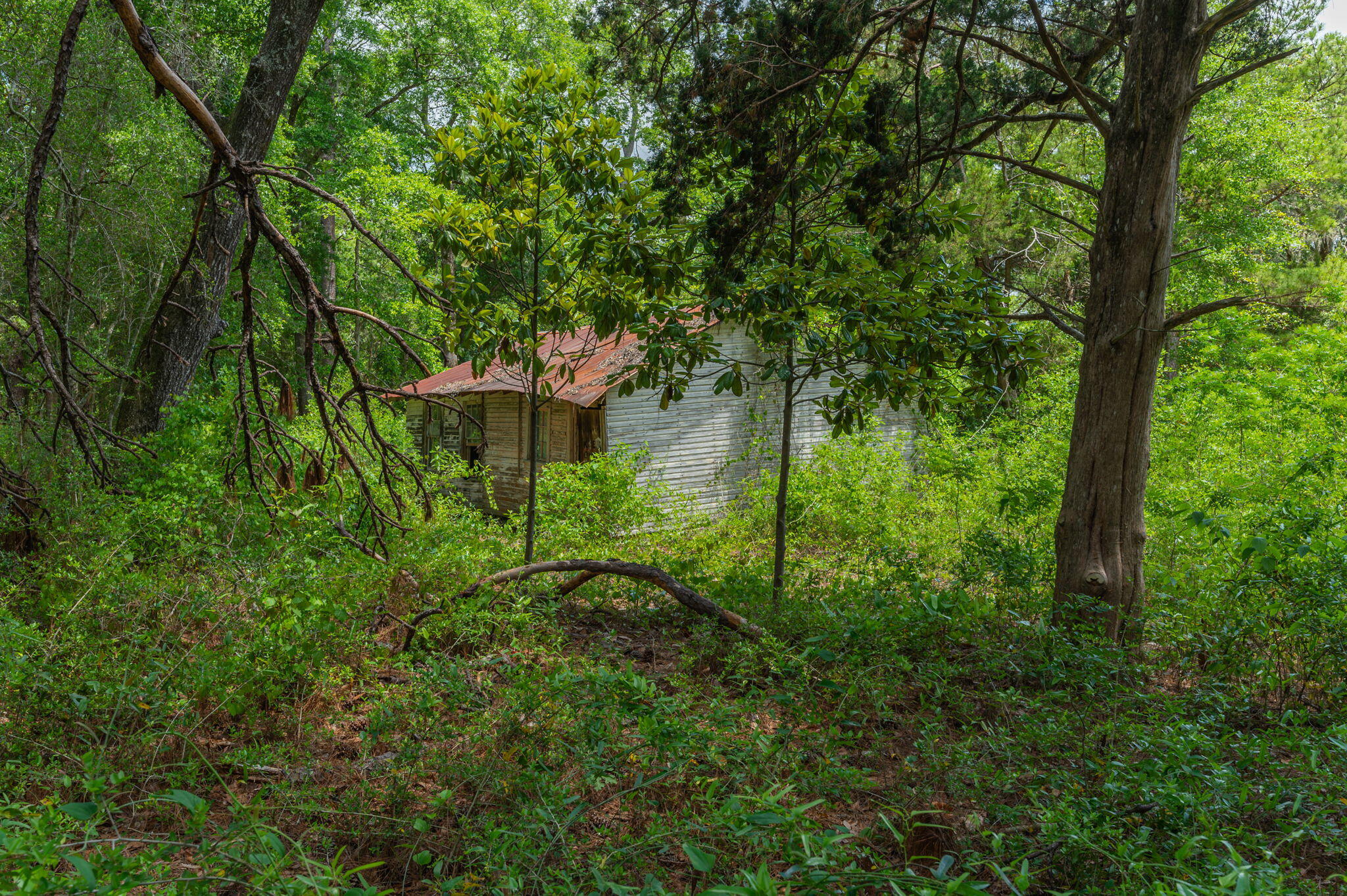 19494 Highway 331 Freeport, FL 32439 - Photo 27 of 36 a view of a garden