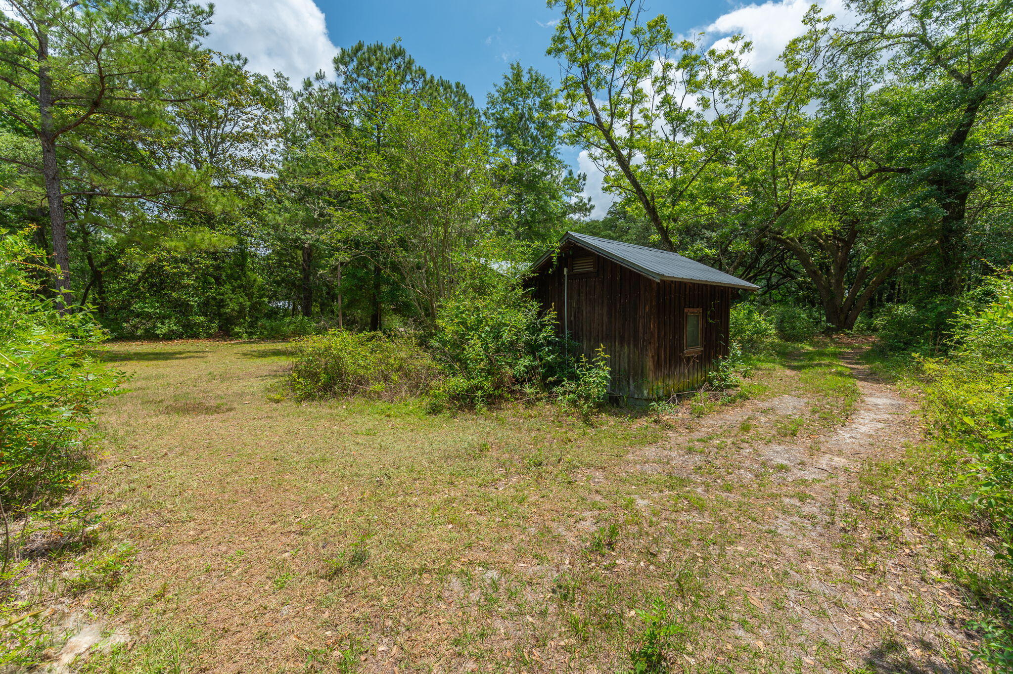 19494 Highway 331 Freeport, FL 32439 - Photo 29 of 36 a backyard of a house with lots of green space
