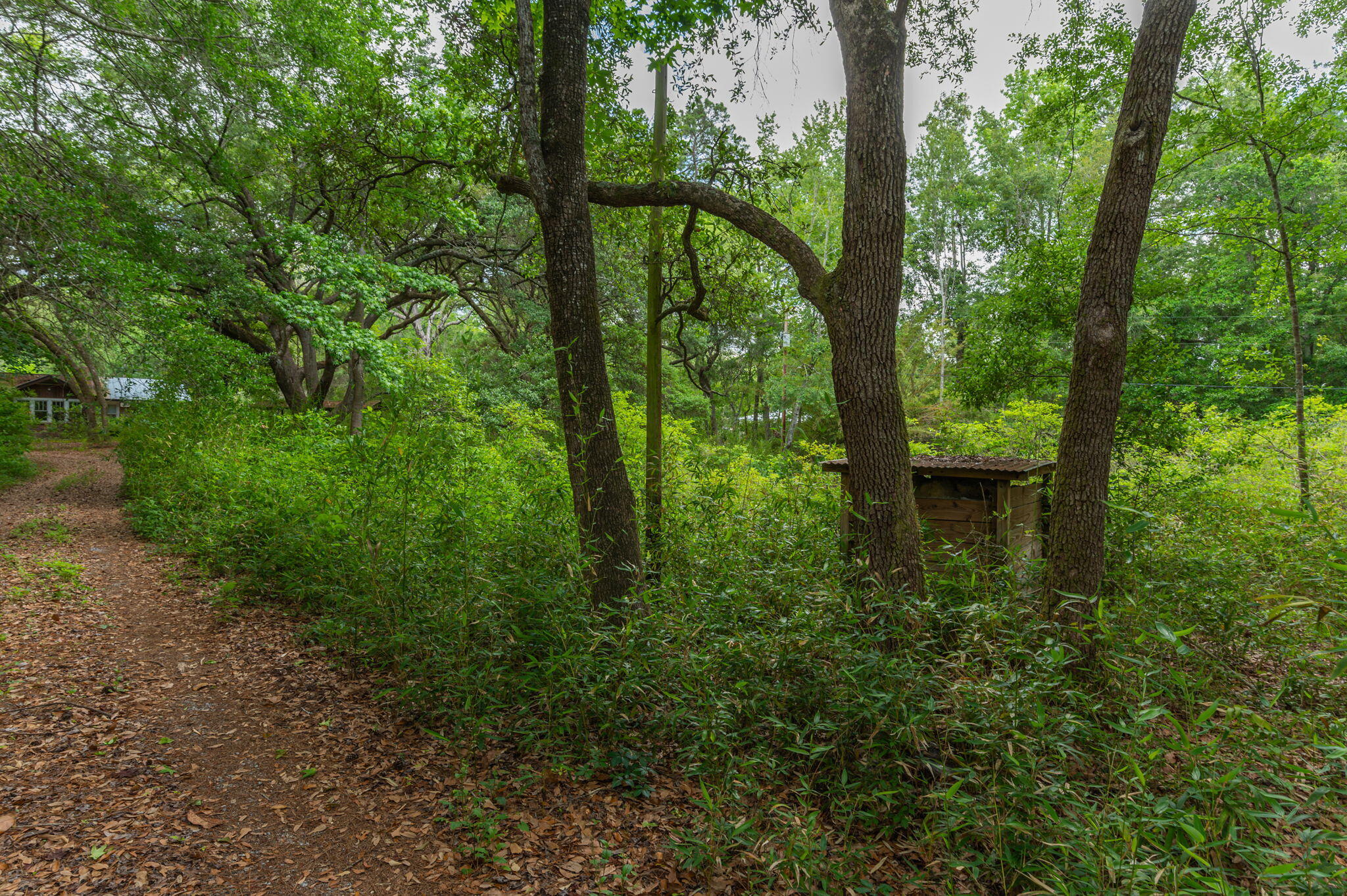 19494 Highway 331 Freeport, FL 32439 - Photo 33 of 36 a view of outdoor space and deck