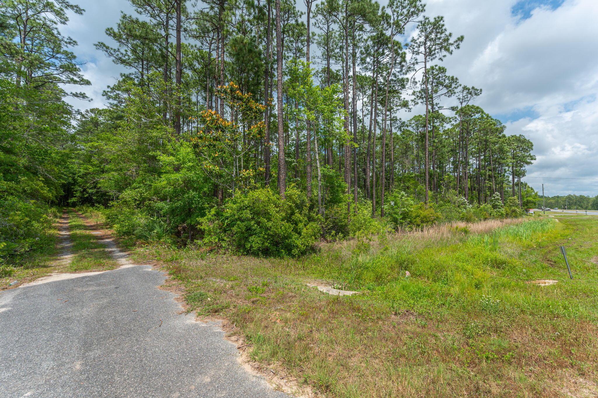 19494 Highway 331 Freeport, FL 32439 - Photo 35 of 36 a view of a yard with plants and a bench