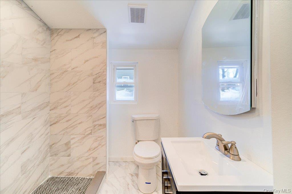 11 Spring Glen Road Mountain Dale, NY 12763 - Photo 24 of 26 a bathroom with a toilet a sink and mirror