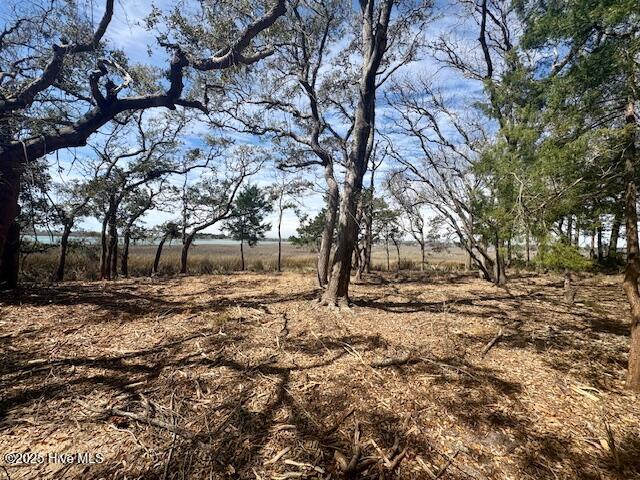 3 Windy Point Road Southwest Supply, NC 28462 - Photo 2 of 4 IMG_9893