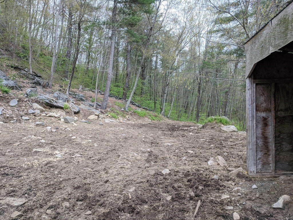 276 Old Gilbertville Road Ware, MA 01082 - Photo 41 of 42 a view of a yard with trees in the background