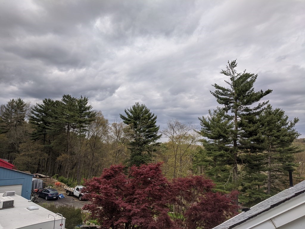 276 Old Gilbertville Road Ware, MA 01082 - Photo 10 of 42 a view of a garden with a plant