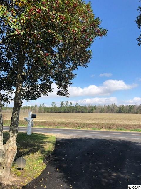4309 Good Luck Road Aynor, SC 29511 - Photo 11 of 15