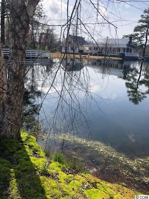 4309 Good Luck Road Aynor, SC 29511 - Photo 10 of 15