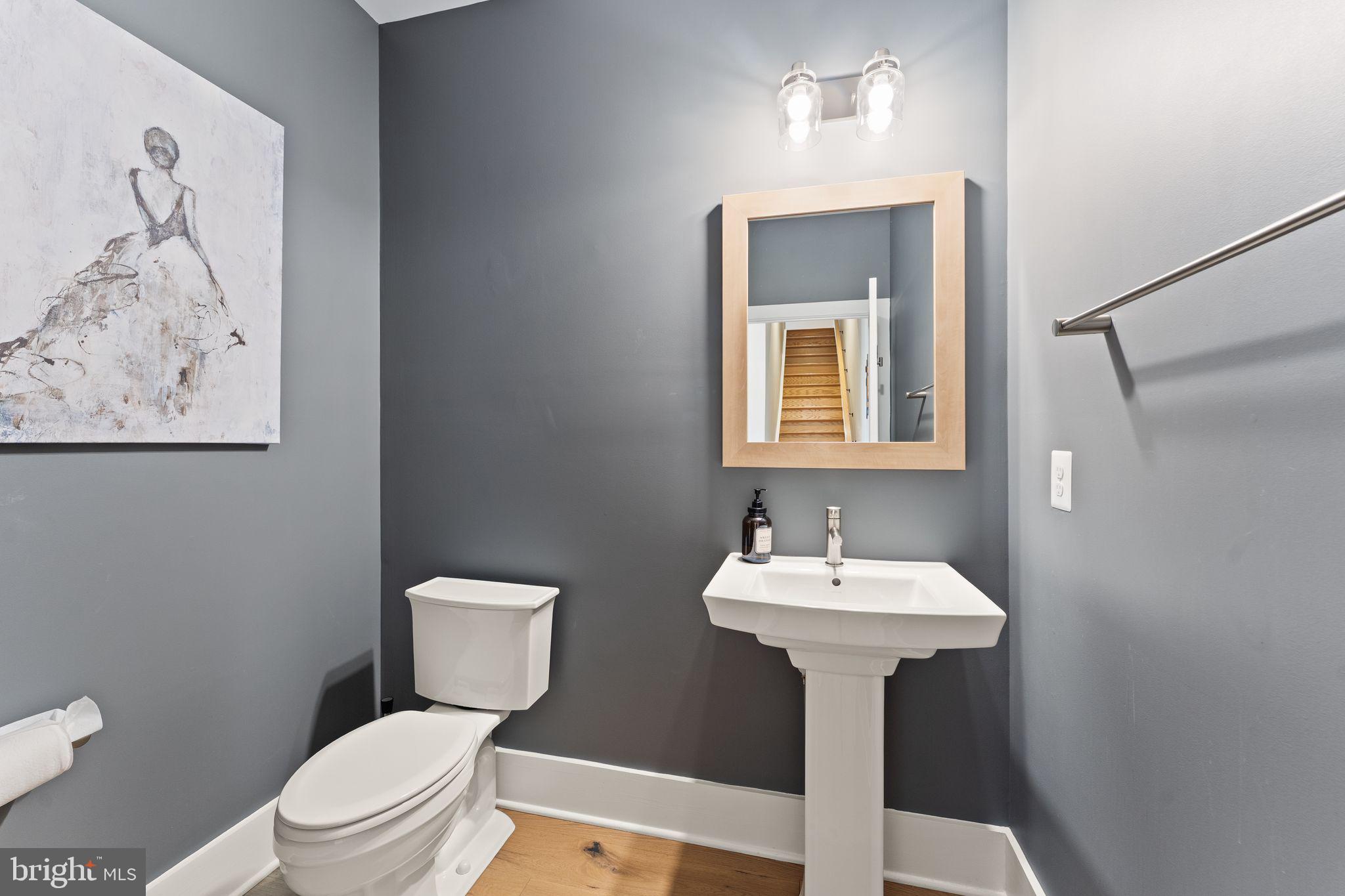 20052 Old Line Terrace Ashburn, VA 20147 - Photo 26 of 67 Powder room main level.