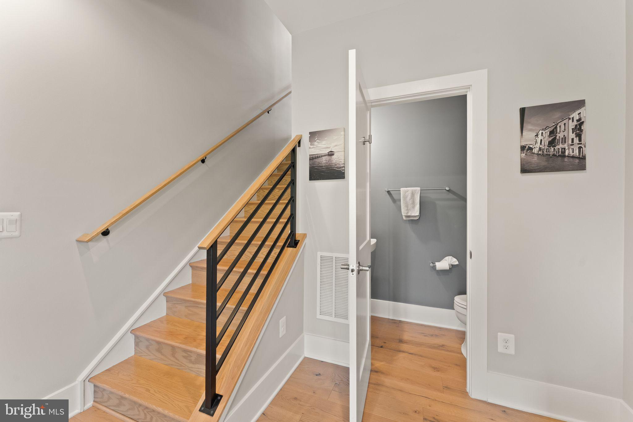 20052 Old Line Terrace Ashburn, VA 20147 - Photo 57 of 67 Upgraded railing & 2nd powder room on lower level