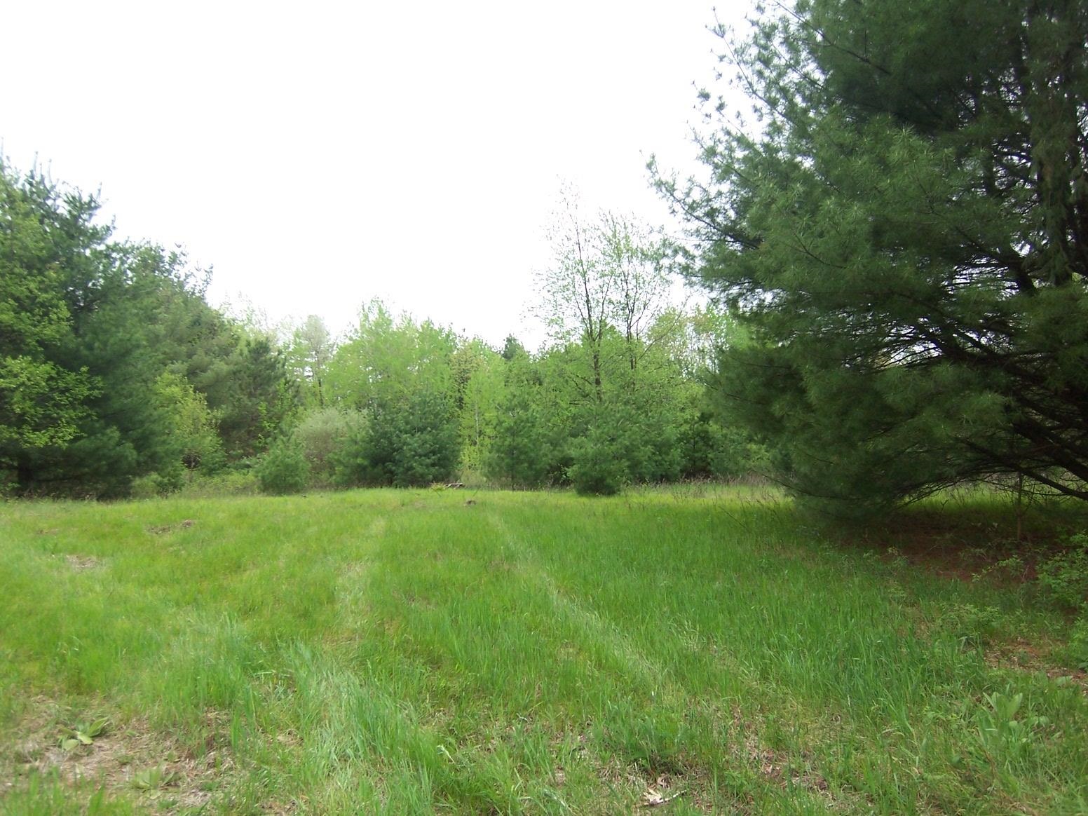 County Road South Sobieski, WI 54171 - Photo 15 of 15