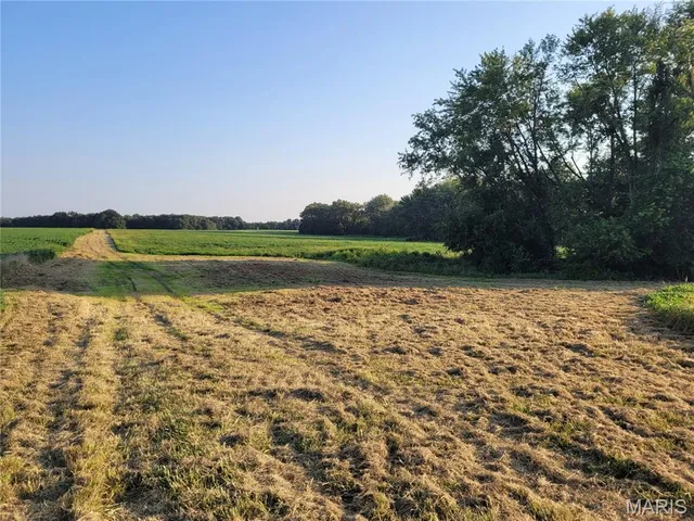 $506,000 | 0 Hwy Dd (46 /- Ac) Tract F Bellflower Mo 63333, Bellflower, MO 63333