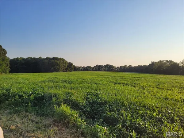 $506,000 | 0 Hwy Dd (46 /- Ac) Tract F Bellflower Mo 63333, Bellflower, MO 63333