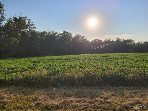 $506,000 | 0 Hwy Dd (46 /- Ac) Tract F Bellflower Mo 63333, Bellflower, MO 63333