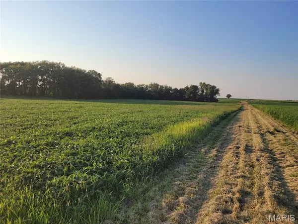 $506,000 | 0 Hwy Dd (46 /- Ac) Tract F Bellflower Mo 63333, Bellflower, MO 63333
