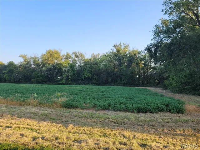 $506,000 | 0 Hwy Dd (46 /- Ac) Tract F Bellflower Mo 63333, Bellflower, MO 63333