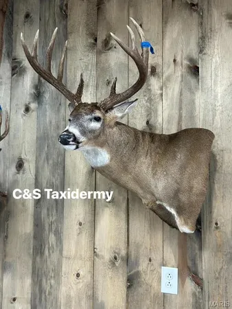 $506,000 | 0 Hwy Dd (46 /- Ac) Tract F Bellflower Mo 63333, Bellflower, MO 63333