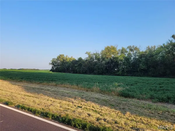 $506,000 | 0 Hwy Dd (46 /- Ac) Tract F Bellflower Mo 63333, Bellflower, MO 63333