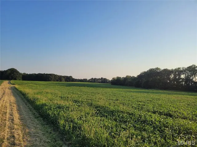 $506,000 | 0 Hwy Dd (46 /- Ac) Tract F Bellflower Mo 63333, Bellflower, MO 63333