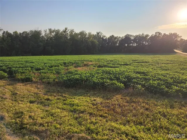 $506,000 | 0 Hwy Dd (46 /- Ac) Tract F Bellflower Mo 63333, Bellflower, MO 63333