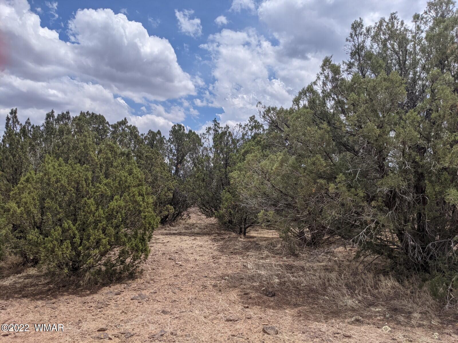 8011 Well Road Show Low, AZ 85901 - Photo 1 of 14 Gallery Image 1