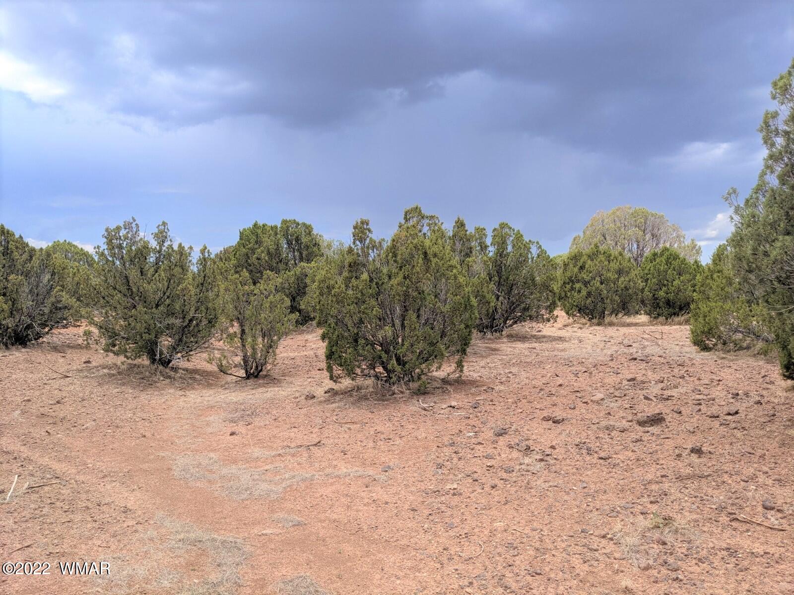 8011 Well Road Show Low, AZ 85901 - Photo 3 of 14 Gallery Image 3