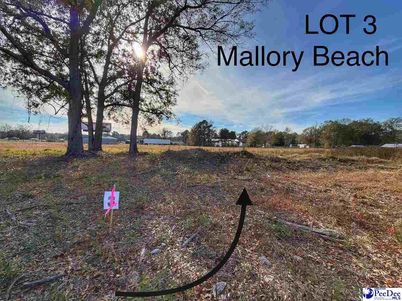 Lot 3 Mallory Beach Road Latta, SC 29565 - Photo 1 of 2 Gallery Image 1