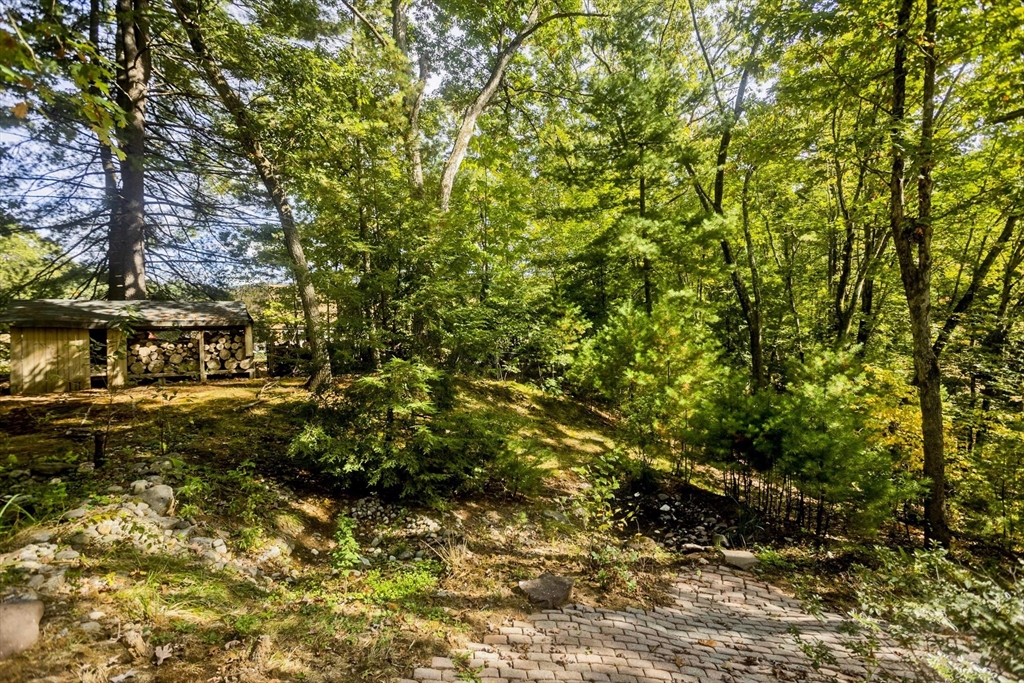 217 Inverness Lane Longmeadow, MA 01106 - Photo 6 of 42 a view of a yard with plants and trees