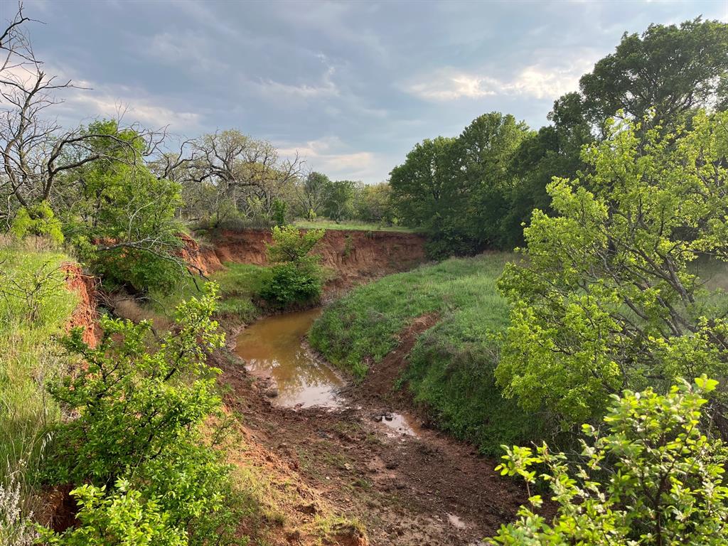 a view of a pathway both side of yard