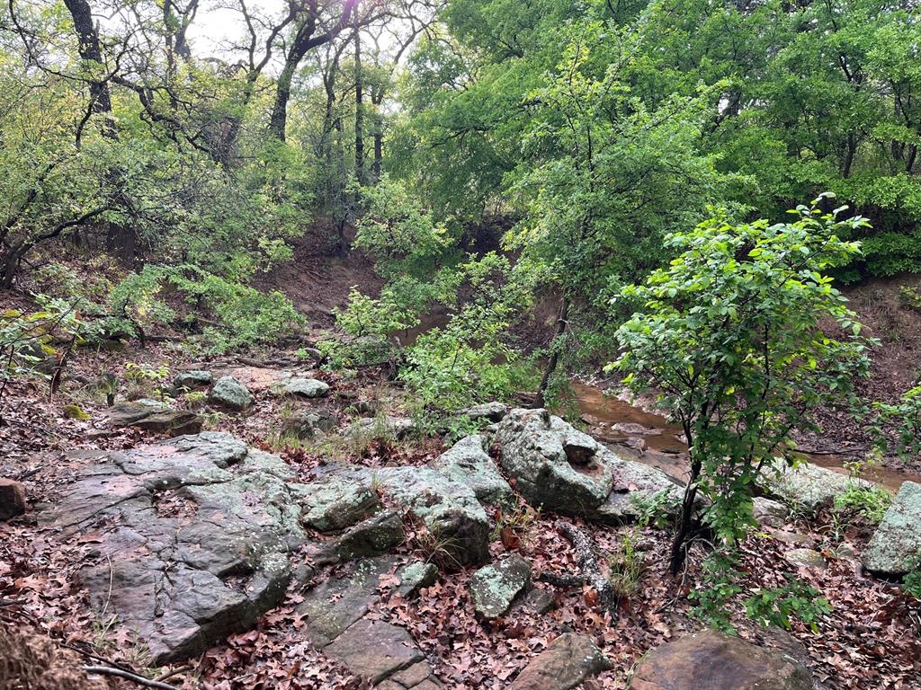 34.1 Hoffman Road Loving, TX 76460 - Photo 2 of 8 a view of a forest with trees