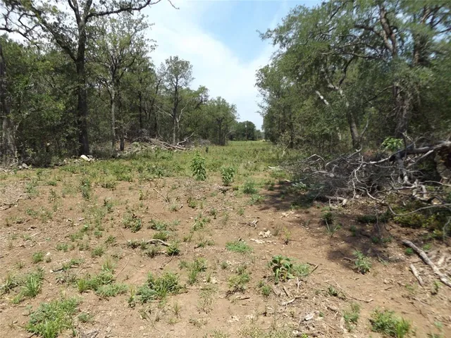 $284,735 | 34.1 Hoffman Road, Loving, TX 76460