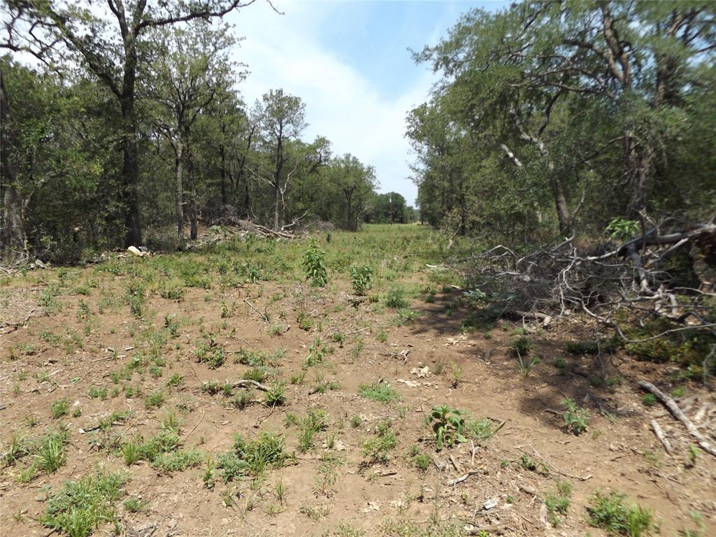 34.1 Hoffman Road Loving, TX 76460 - Photo 4 of 8 a view of a yard with a tree