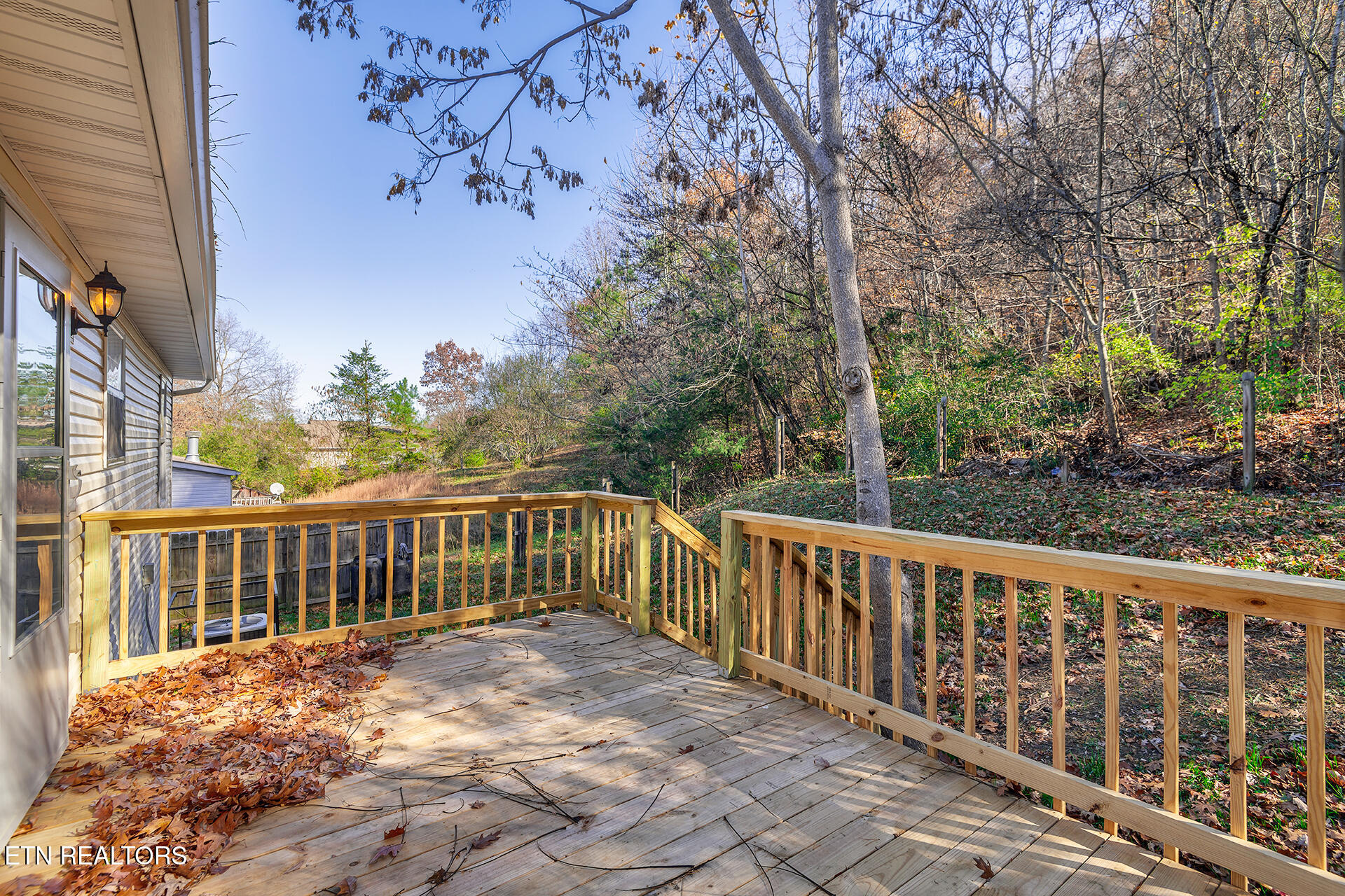 503 Long Avenue Newport, TN 37821 - Photo 22 of 25 Shandi-503-Long-Avenue-Newport_Exterior-
