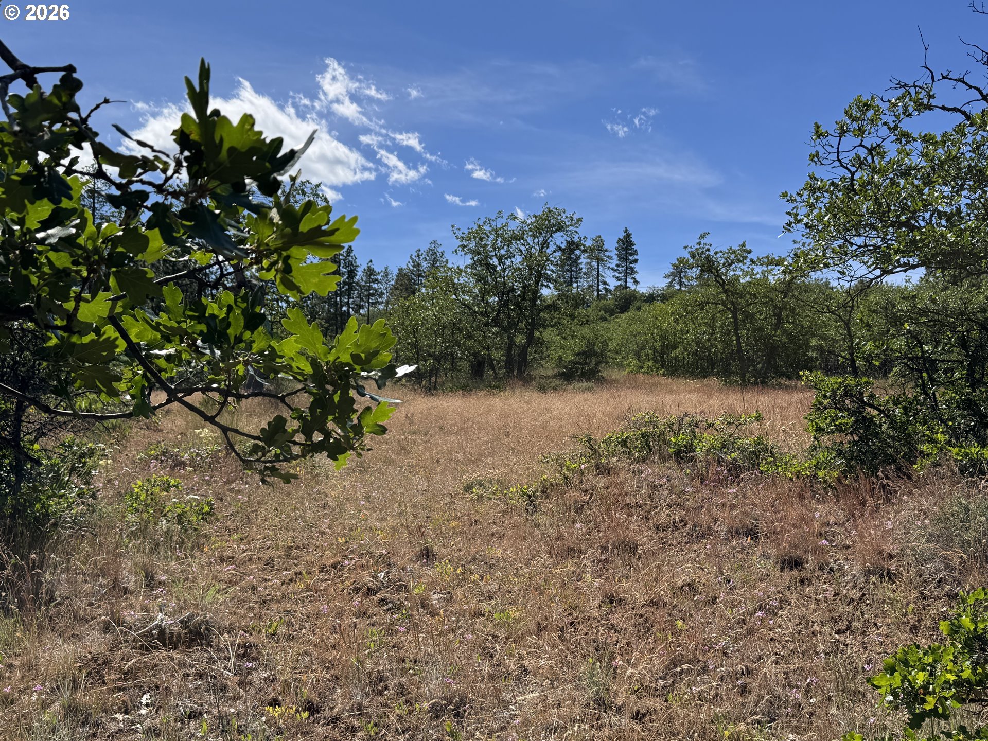 112 Timber Road Roosevelt, WA 99356 - Photo 15 of 31
