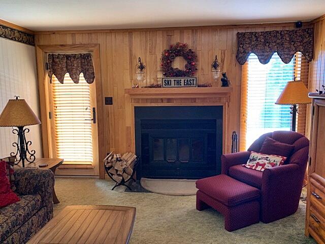 47 Powderidge Road, Unit 55 Snowshoe, WV 26209 - Photo 5 of 25 Gallery Image 5