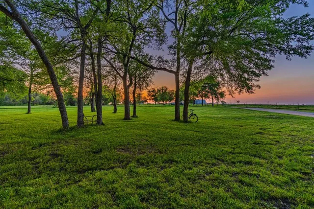 a huge green field with lots of trees