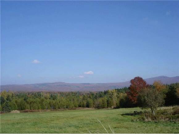 0 Cook Road Orleans, VT 05860 - Photo 1 of 1