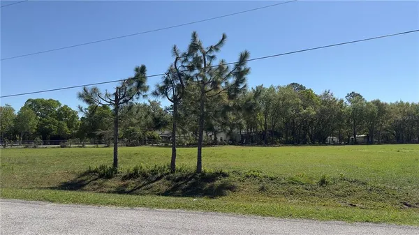 a view of a field with a tree in front of it