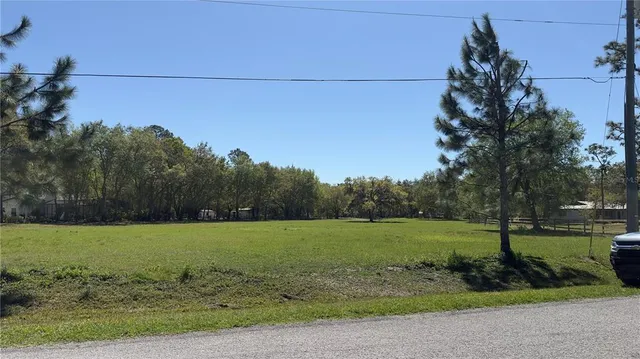 a view of a field with a tree in the background