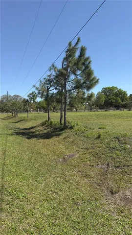 a view of a field with an trees