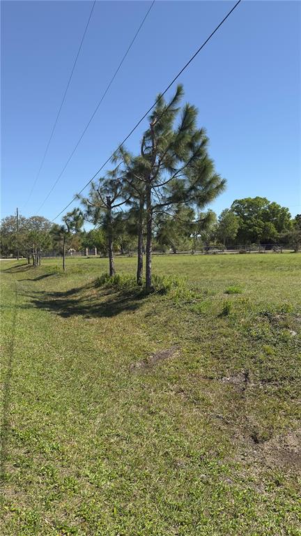 0 Haywood Ruffin Road St. Cloud, FL 34771 - Photo 6 of 23 a view of a field with an trees