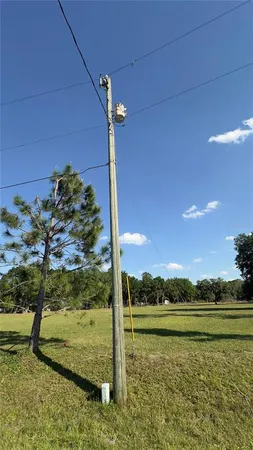 a view of a lake from a yard