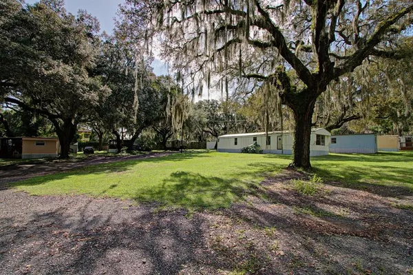 a view of a yard with plants and trees
