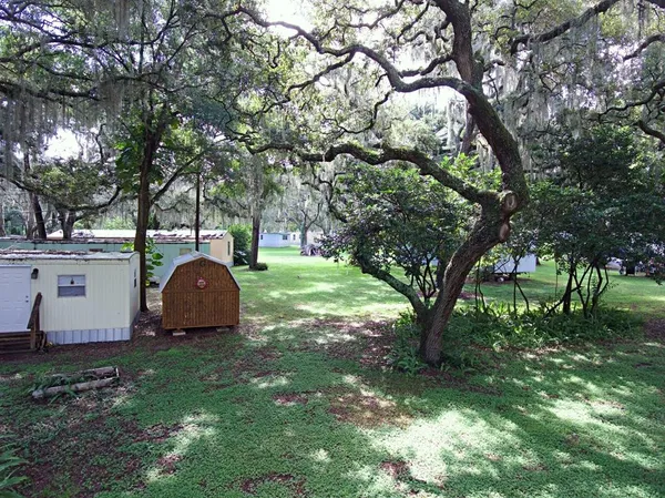a view of a tree in front of a house