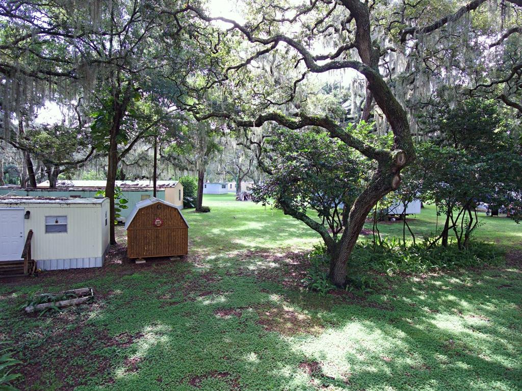 28313 Highway 27 Leesburg, FL 34748 - Photo 29 of 46 a view of a tree in front of a house