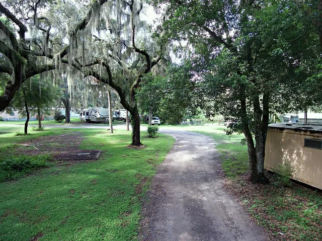 a view of a park with large trees