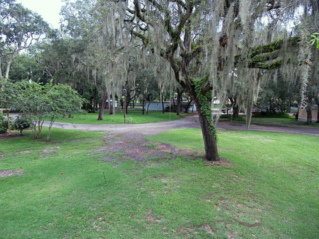 28313 Highway 27 Leesburg, FL 34748 - Photo 32 of 46 a view of a park with a tree