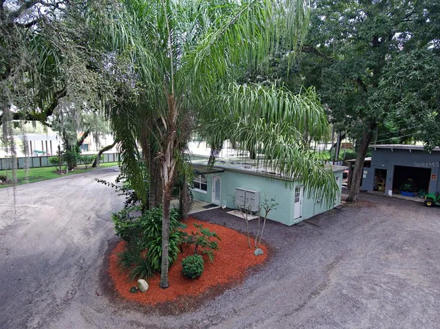 a view of a backyard with potted plants and large trees