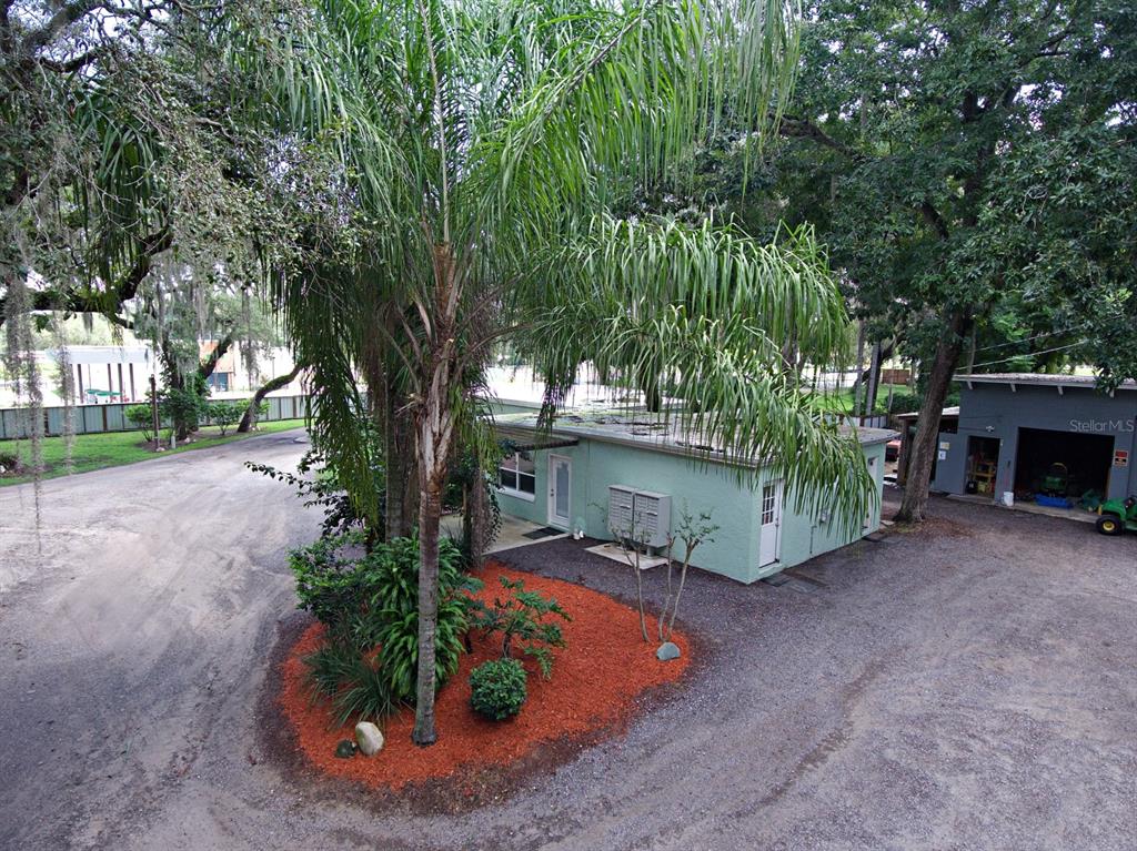 28313 Highway 27 Leesburg, FL 34748 - Photo 38 of 46 a view of a backyard with potted plants and large trees