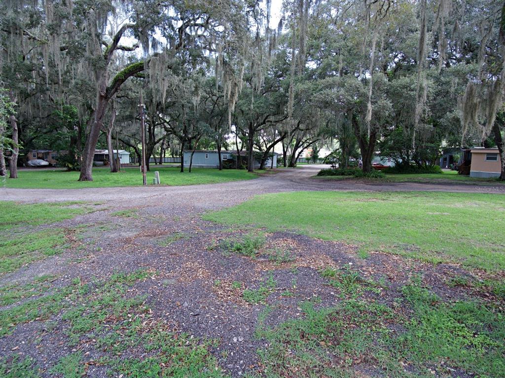 28313 Highway 27 Leesburg, FL 34748 - Photo 40 of 46 a view of a trees in a park