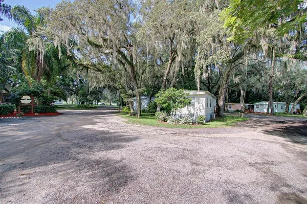 a view of a tree in front of a house